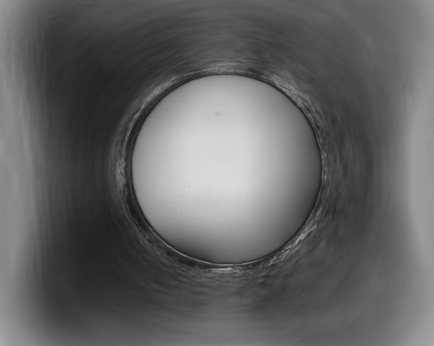 X0000099460050200805090755