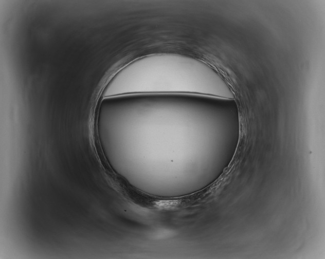 X0000099460051200805090755