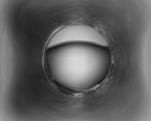 X0000099460052200805090755