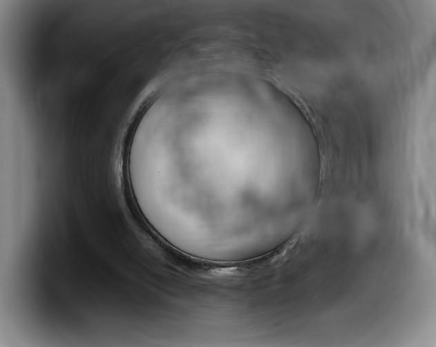 X0000099460054200805090755