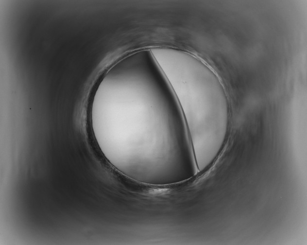 X0000099460055200805090755