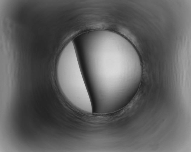 X0000099460058200805090755
