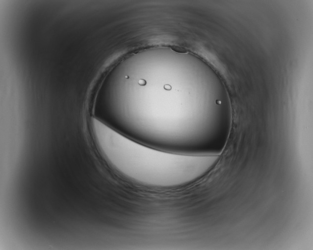 X0000099460060200805090755