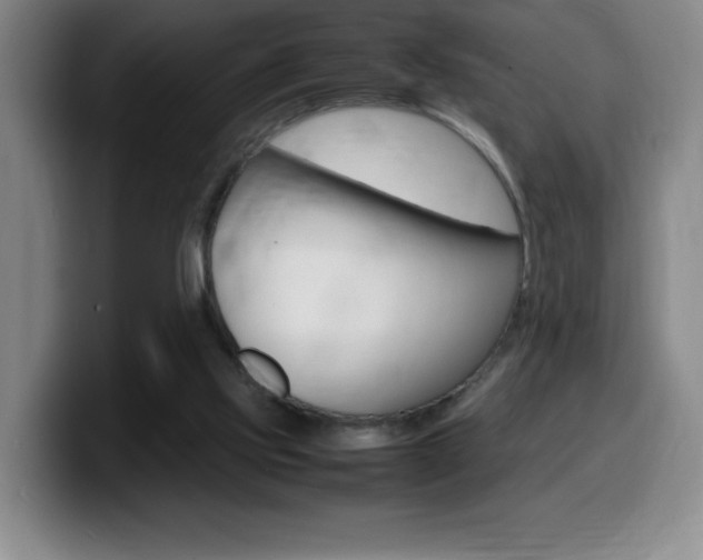 X0000099460061200805090755