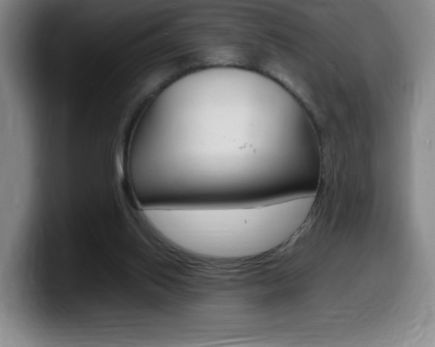 X0000099460062200805090755
