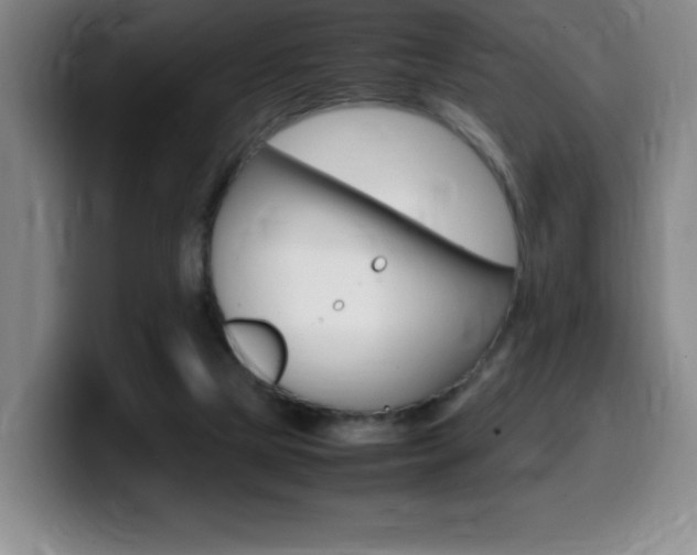 X0000099460065200805090755