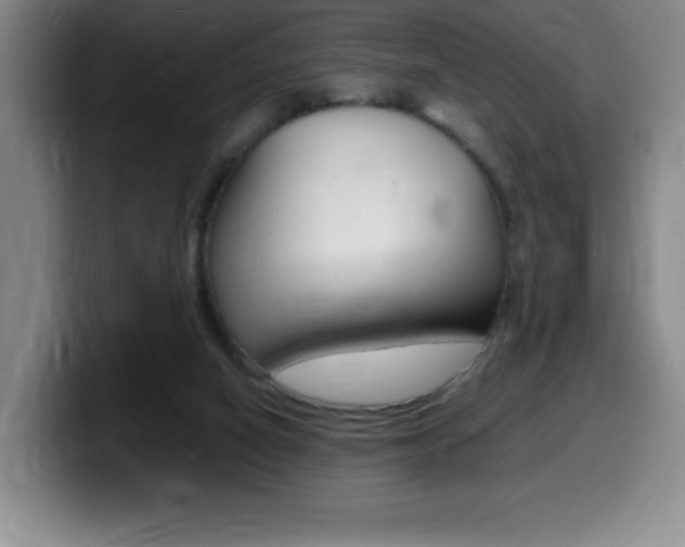 X0000099460066200805090755