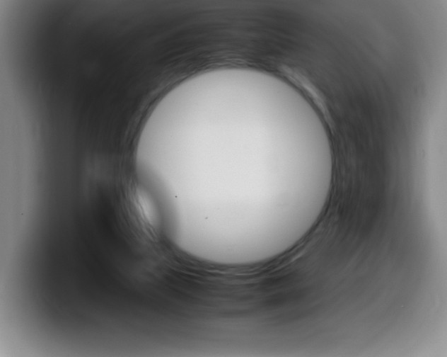 X0000099460067200805090755