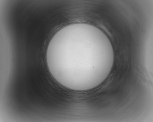 X0000099460068200805090755