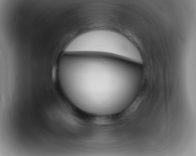 X0000099460070200805090756