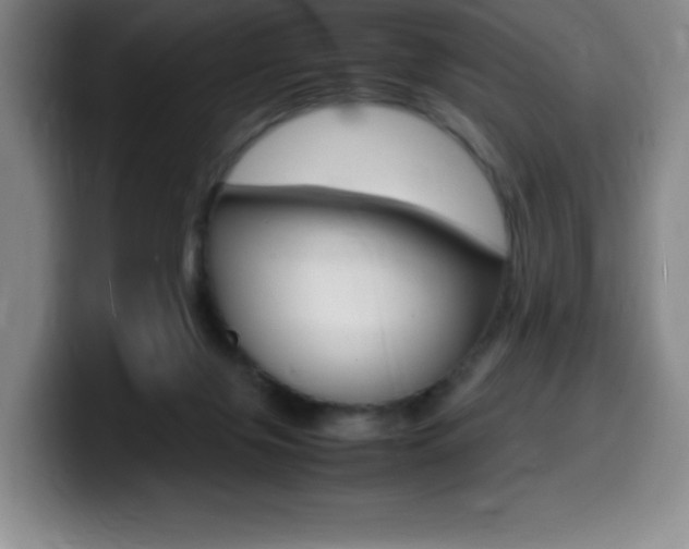 X0000099460071200805090756