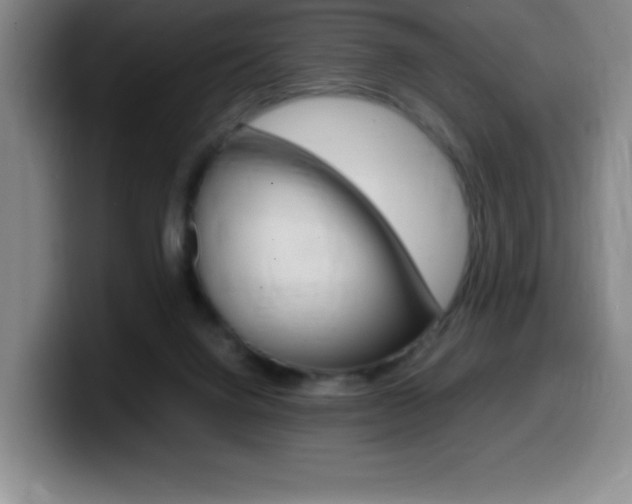 X0000099460072200805090756