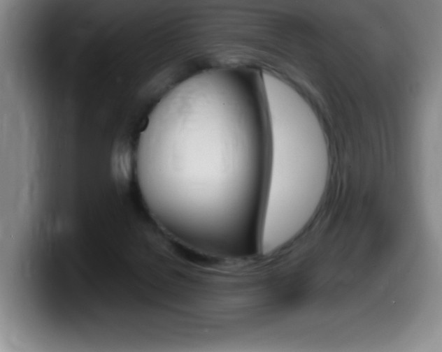 X0000099460076200805090756