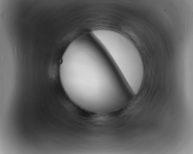 X0000099460077200805090756