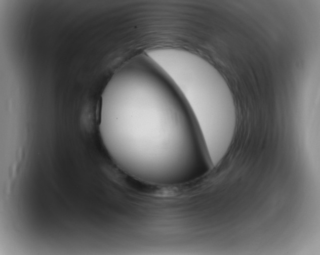 X0000099460080200805090756