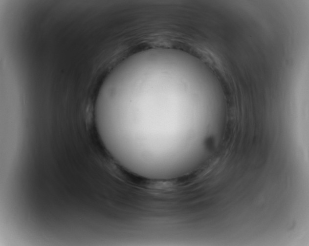 X0000099460081200805090756