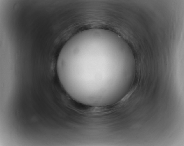 X0000099460082200805090756