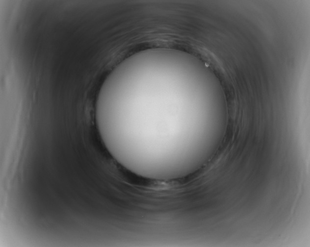X0000099460083200805090756