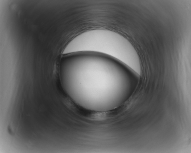 X0000099460084200805090756
