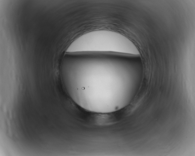 X0000099460085200805090756