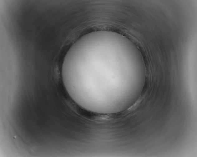 X0000099460086200805090756