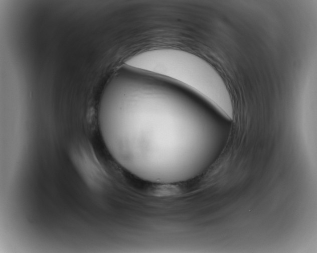 X0000099460087200805090756