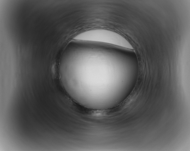 X0000099460088200805090756