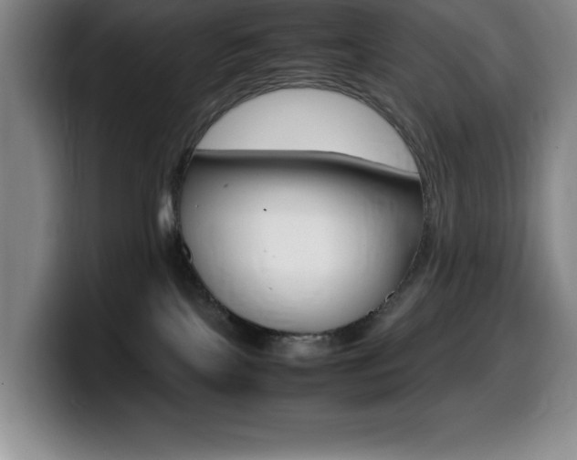 X0000099460089200805090756