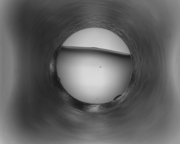 X0000099460090200805090756