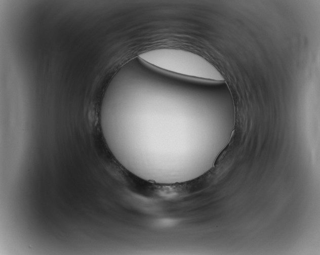 X0000099460091200805090756