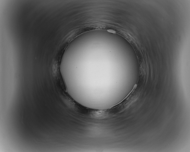 X0000099460092200805090756