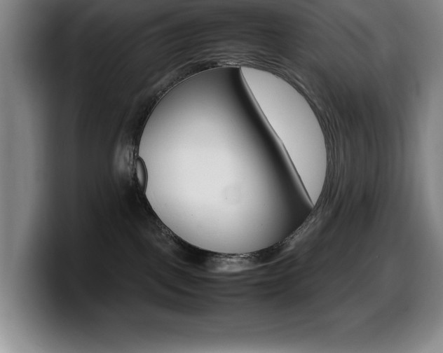 X0000099460093200805090756