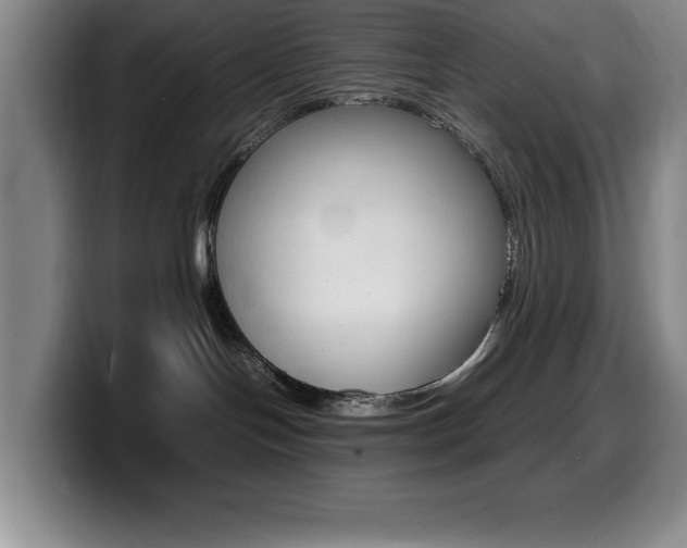 X0000099460094200805090756