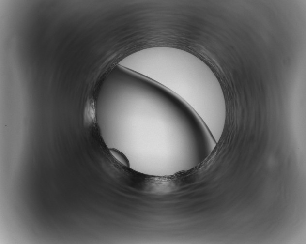 X0000099460095200805090756