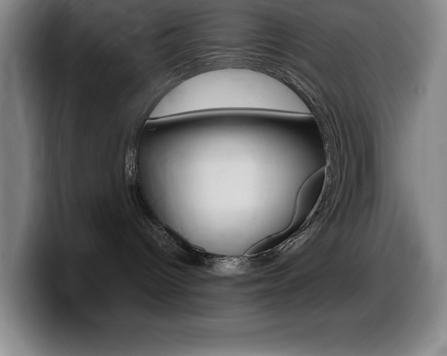 X0000099460096200805090756