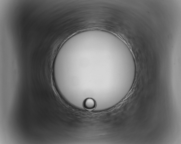X0000099460097200805090755
