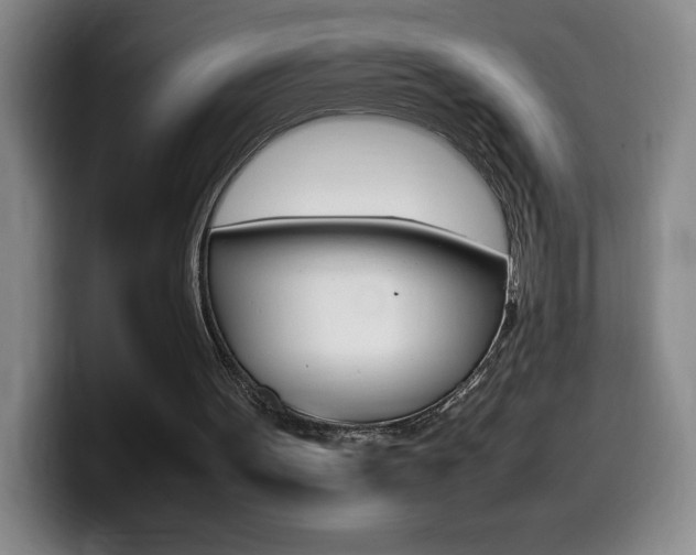 X0000099460099200805090755