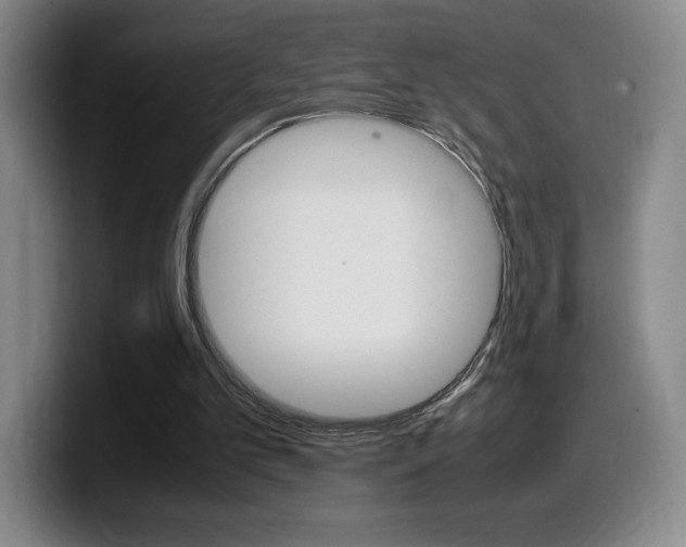 X0000099460101200805090755