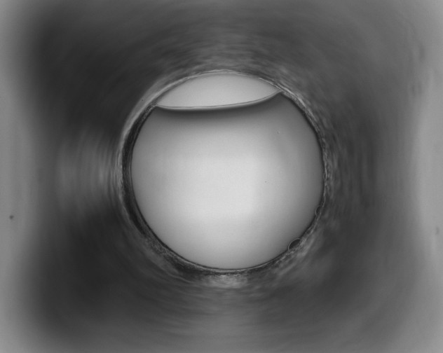 X0000099460102200805090755