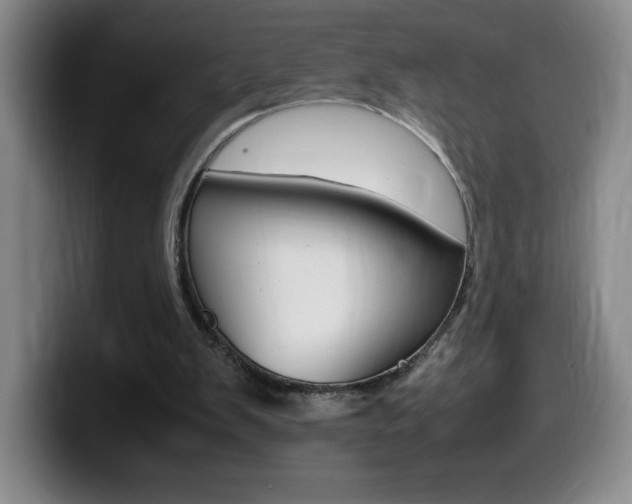 X0000099460103200805090755