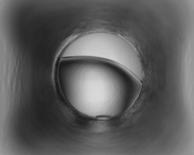 X0000099460104200805090755