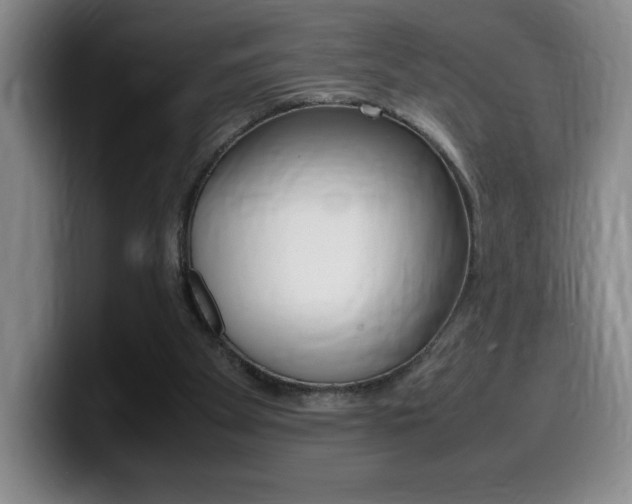 X0000099460105200805090755