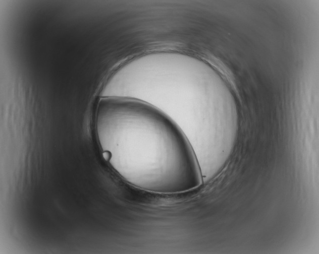 X0000099460107200805090755