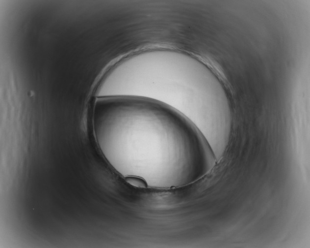 X0000099460108200805090755