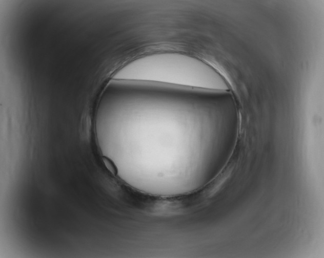 X0000099460109200805090755