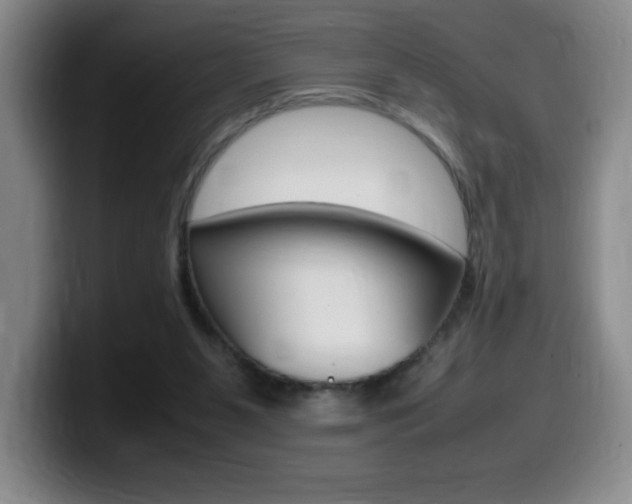 X0000099460111200805090755