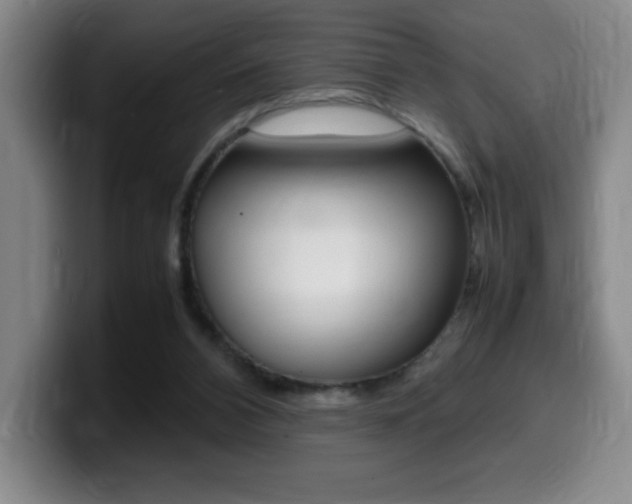 X0000099460112200805090755