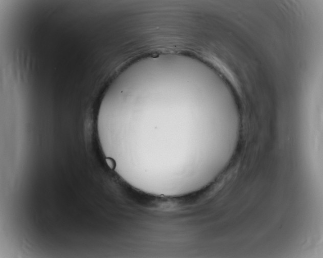 X0000099460113200805090755