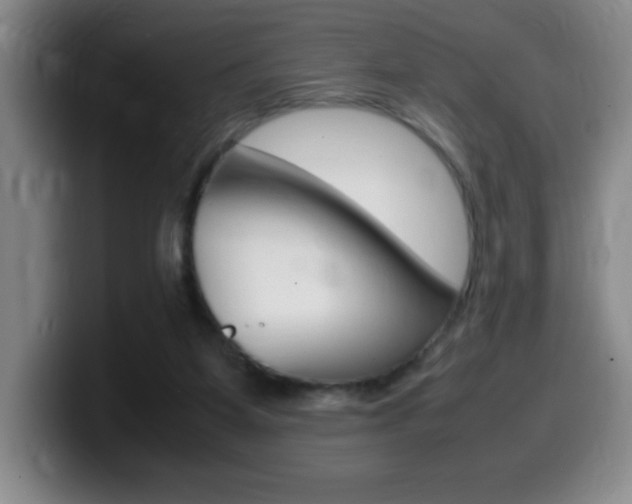 X0000099460115200805090755