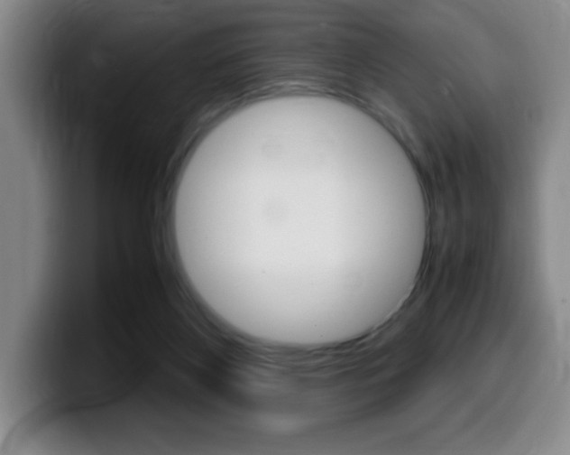 X0000099460116200805090755